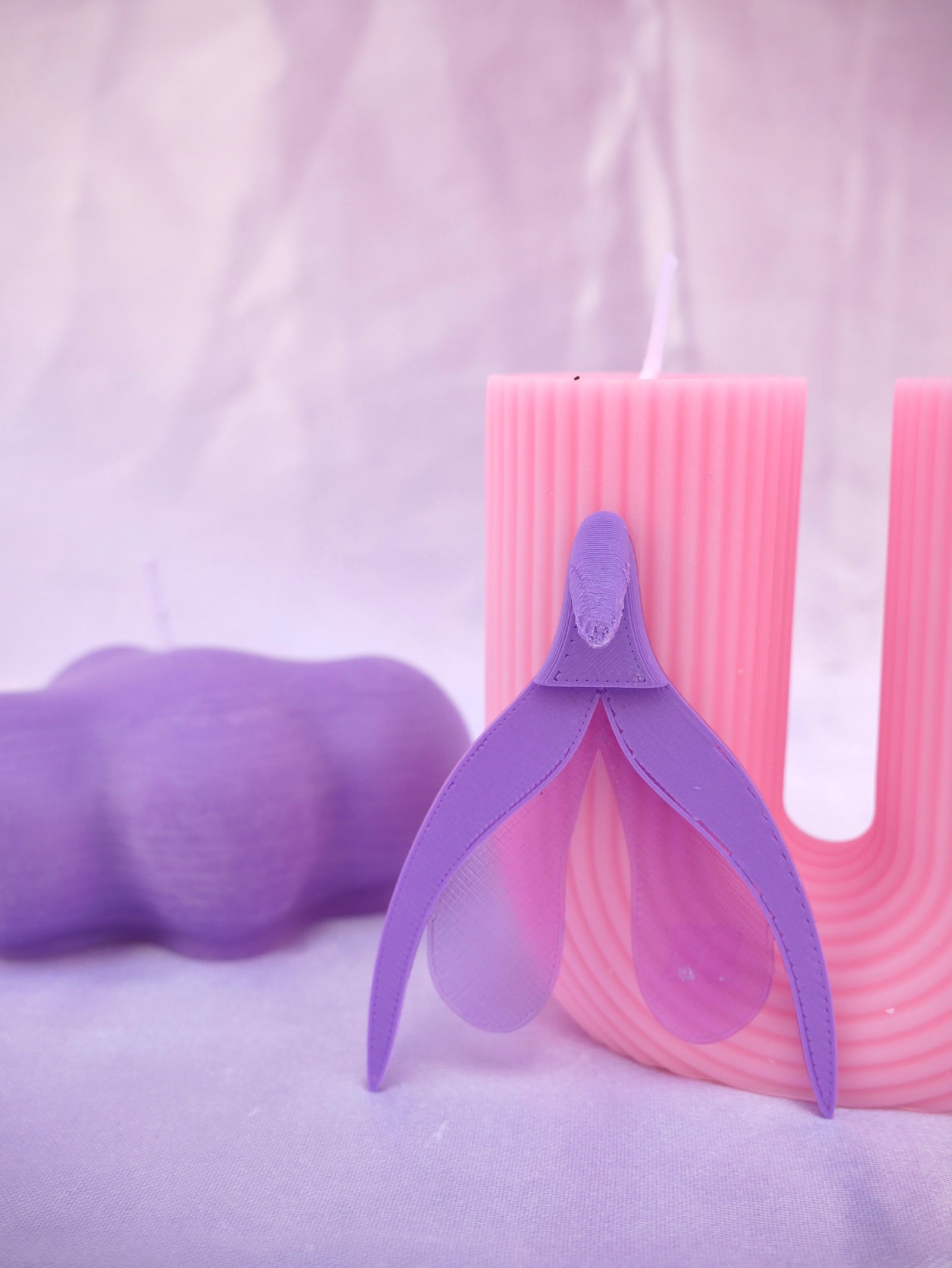 Cliterally The Best Bookmark